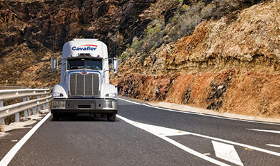 Daily overnight LTL shipments. 